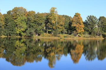 Reflection of trees in the lake. indian summer in Europe. High quality photo