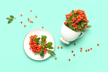 Composition with cup and rowan berries on color background