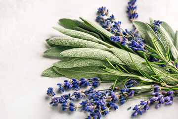 Fresh spicy herbs. Sage leaves, lavender and rosemary.