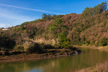 Fototapeta na wymiar meander of the butron river in vizcaya a sunny day in autumn