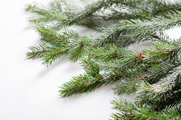 White  holiday background on green branch Christmas concept