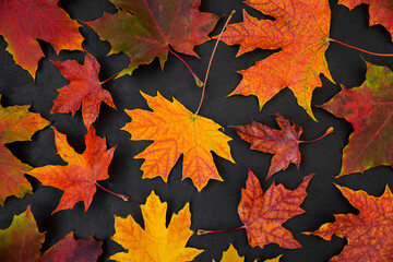 Flat lay from autumnal maple leaves on dark wood. Nature background. Top view