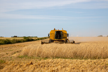 Obraz premium Mähdrescher auf einem Feld bei der Arbeit