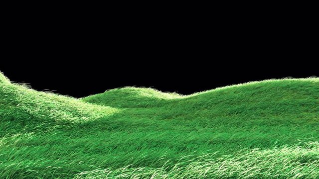 3d animation, 3d rendering, animation, background, blow, design, environment, farm, field, fresh, freshness, garden, grass, grass blowing in the wind, green, growing, growth, isolated, land, lawn, mea