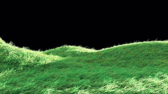 3d animation, 3d rendering, animation, background, blow, design, environment, farm, field, fresh, freshness, garden, grass, grass blowing in the wind, green, growing, growth, isolated, land, lawn, mea