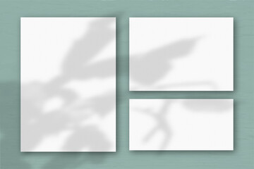 Several horizontal and vertical sheets of white textured paper on the background of a grey wall. Natural light casts shadows from an exotic plant. Flat lay, top view