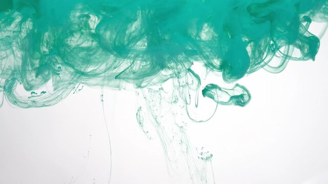 Cloud of mint green watercolor ink in water on white background. Beautiful abstract background. Screensaver, relaxing meditative background. Slow motion of colored acrylic paints in water.