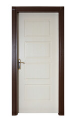 Decorative, modern and wooden interior door
