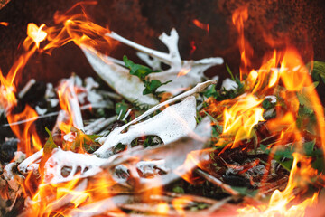 Halloween-themed abstraction. Bunch of bones on the grass in the flames.