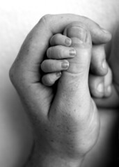 The hand and fingers of a newborn baby. Parents hold the fingers of their newborn baby with their hands.