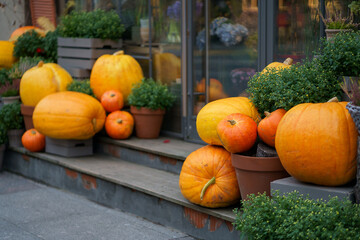 Autumn decoration with orange pumpkins and flowers in pots outside the flower shop. Composition for Halloween and Thanksgiving day. 