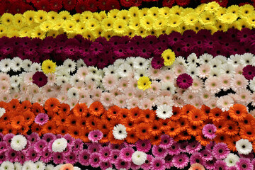 background with colorful flowers