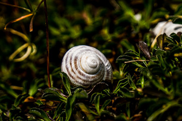 Prokletije mountains