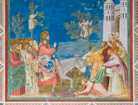 Cappella degli Scrovegni, le palme