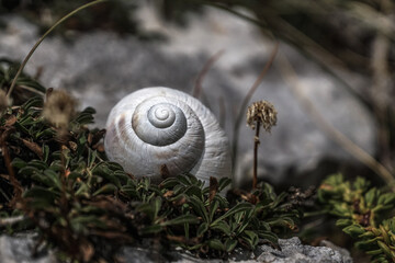 Prokletije mountains