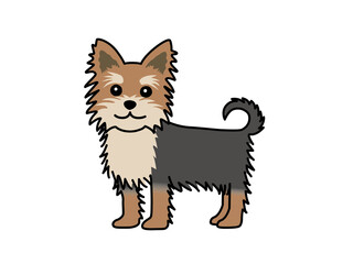 ヨークシャーテリア