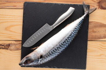 One slightly salted mackerel fish, with a knife on a slate stone, close-up, top view