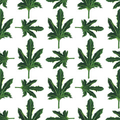 Aquarelle green leaf of zucchini in seamless pattern on white background. Hand drawing illustration. Perfect for wallpaper or digital paper.