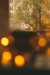Flatley with cup of tea leaves, book, candle, and cozy lights