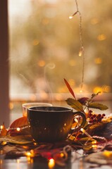Flatley with cup of tea leaves, book, candle, and cozy lights