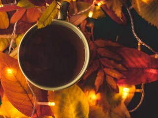 Flatley with cup of tea leaves, book, candle, and cozy lights