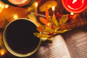 Flatley with cup of tea leaves, book, candle, and cozy lights