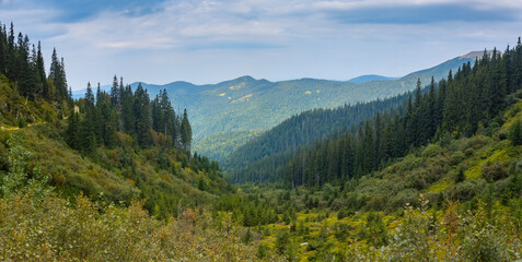 Fototapeta na wymiar Panorama mountain landscape in early autumn. Coniferous forest on the slopes of the mountains