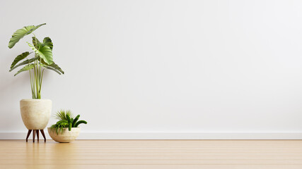 White wall empty room with plants on a floor.