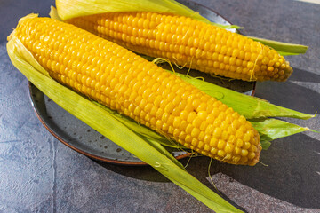 Yellow boiled corn on the cob on a plate