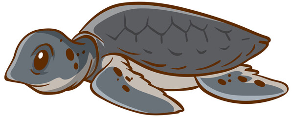Turtle animal cartoon on white background