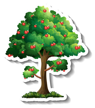 Apple tree sticker on white background