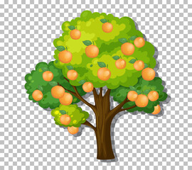 Orange tree on transparent background