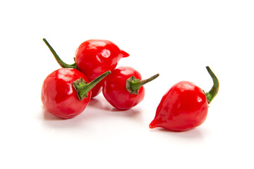 激辛唐辛子のチェイロ・レシフェ