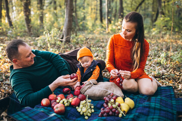 Naklejka na ściany i meble Family with their little son having picnic in park
