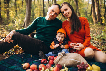 Family with their little son having picnic in park