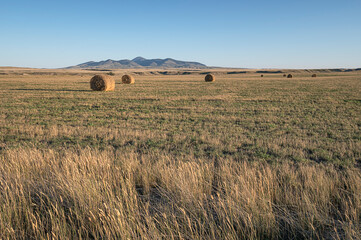 Hay bales and the Sweet Grass Hills