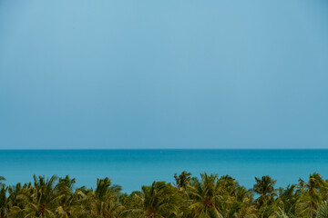 Dramatic clouds over turquoise sea. Palm trees in the foreground.