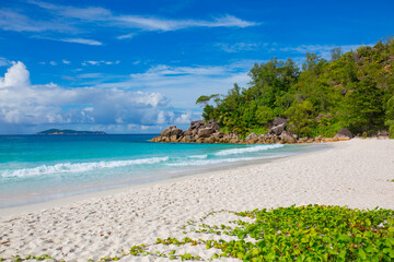 Beach Tropical Background Sun Light Holiday Travel Design Space Palm Trees Branches Landscape Indonesia Seychelles Philippines Travel Island Relax Sea Ocean Rain Cloud