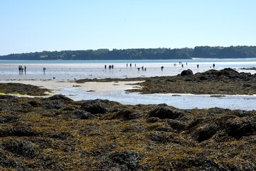 Low tide in Bretagne, France