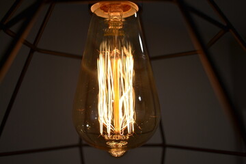 Incandescent lamp with tungsten filaments, yellow light