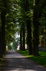 Schloss und Park Belvedere in Weimar, Thüringen