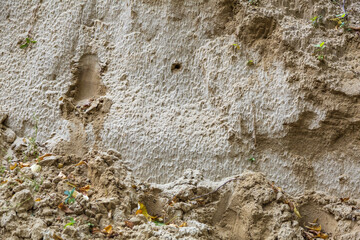 Uneven textured surface of a mix of yellow sand, autumn leaves and plants