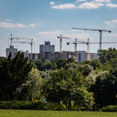 Fototapeta na wymiar Green trees on the background of construction cranes at the construction site of skyscrapers. Construction of a new microdistrict.