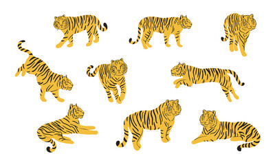 Fototapeta na wymiar Set of tiger in different poses in Flat style. Vector illustration.