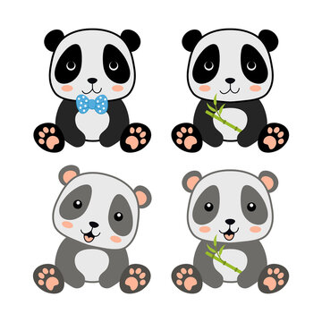 vector cute panda character with bamboo branch