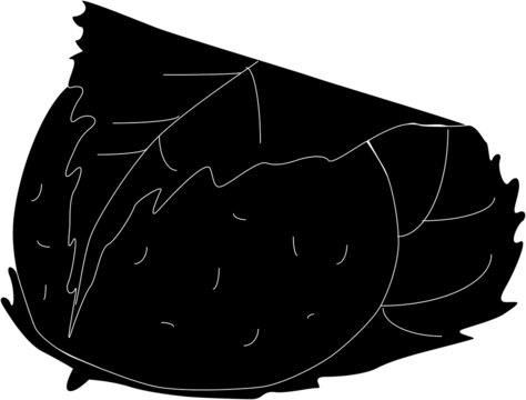 道明寺粉 Images Browse 101 Stock Photos Vectors And Video Adobe Stock