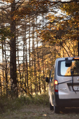 Obraz premium 輝く秋の森の中をキャンプに向かう車