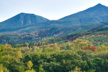 Mountain with beautiful autumn leaves
