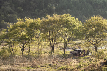 温かい冬の午後にキャンプする男性キャンパー