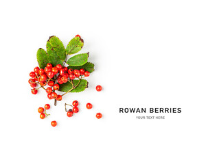 Red rowan berries with leaves creative layout.